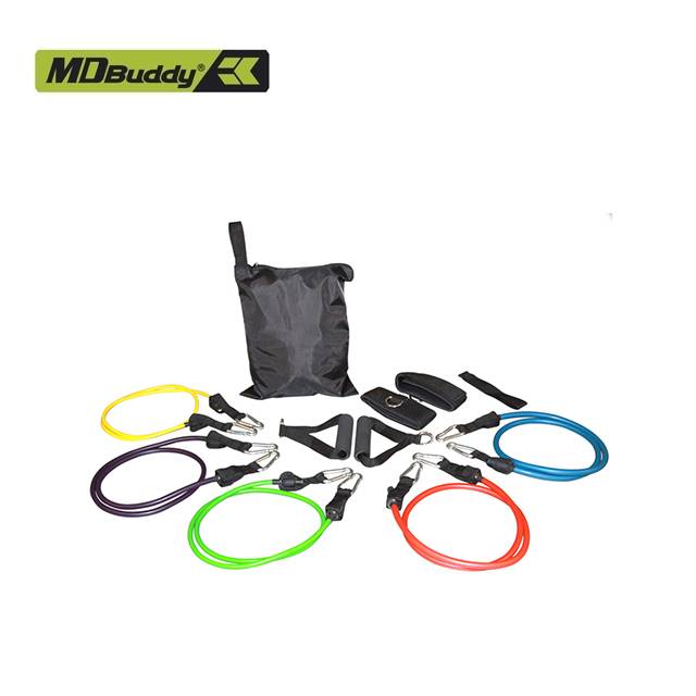 Resistance Bands Set of 5 with Accessory Kit