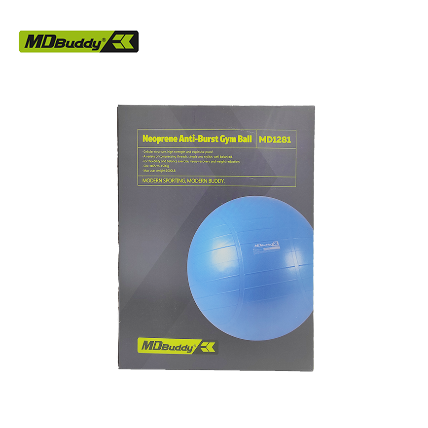 Exercise Ball with Pump  Blue