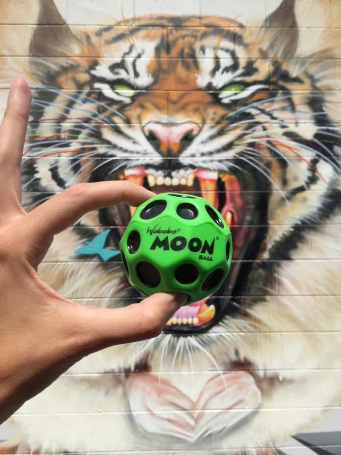 Waboba Moon, Bouncy Ball for Land Playing  Red