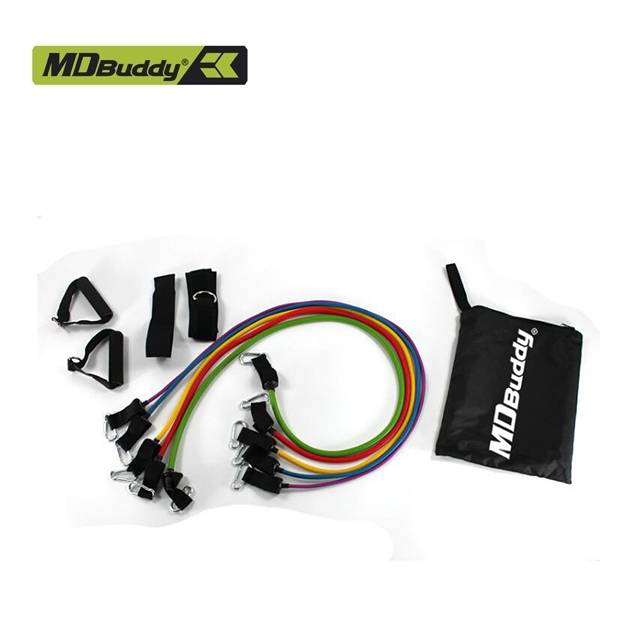 Resistance Bands Set of 5 with Accessory Kit