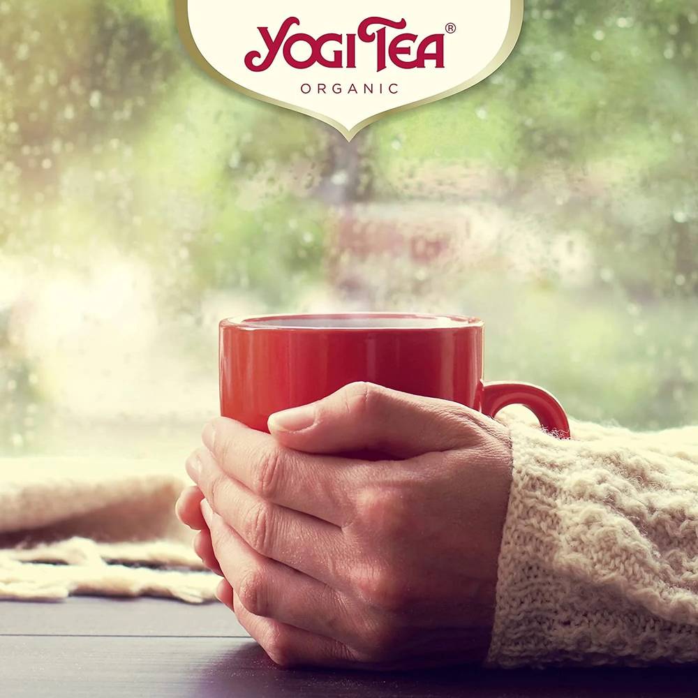 Yogi Tea - Organic Tea (17 Bags)