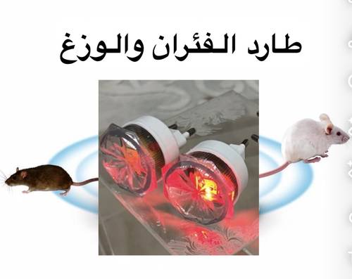 Ultrasonic Mouse and Gecko Repellent 🏠