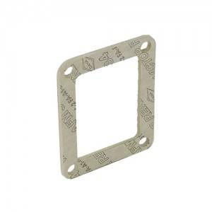 GASKET REED VALVE