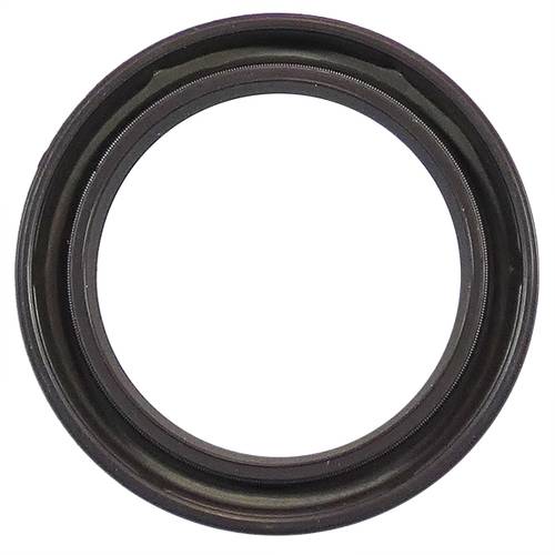 OIL SEAL AS 40X55X7 FPM