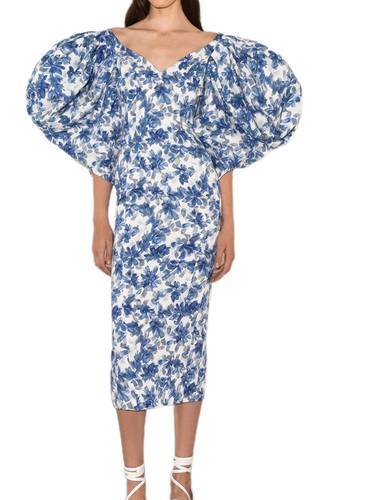Voluminous Sleeves Floral Dress