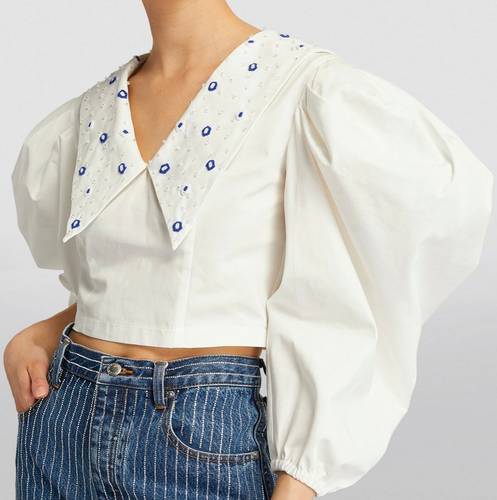 Puffy Sleeves Embroidered Blouse