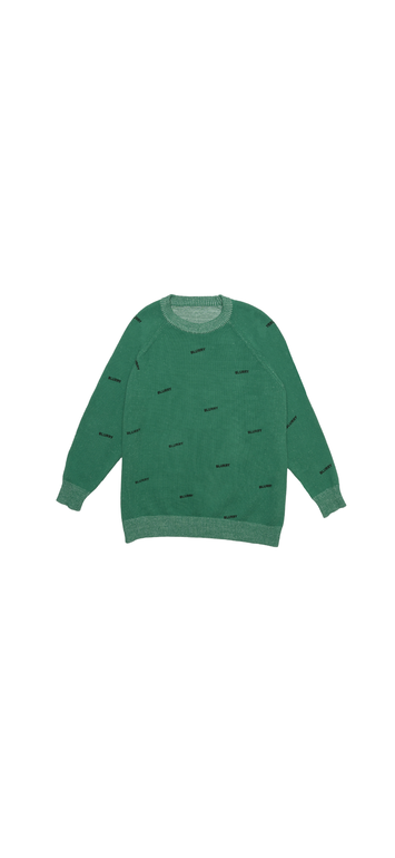 Patterned Green Sweater ( Unisex )