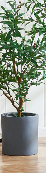  tree with pot  