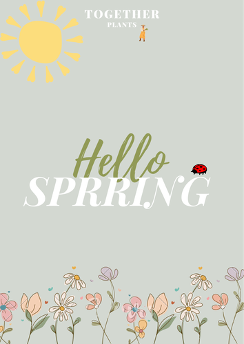 ورشة عمل الربيع🪄🌻🦢