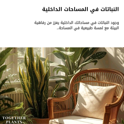 تصاميم لمساحاتكم الخاصة 