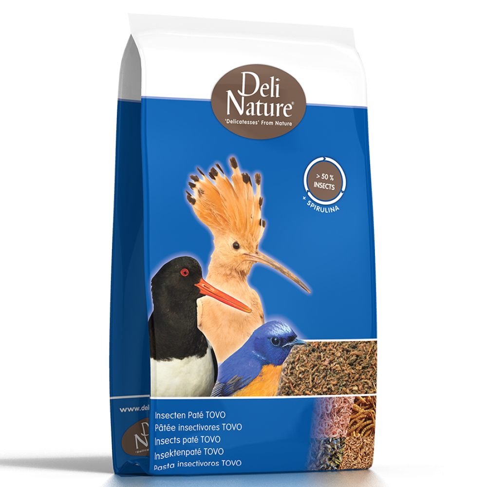 Delinature Insects Pate Tovo