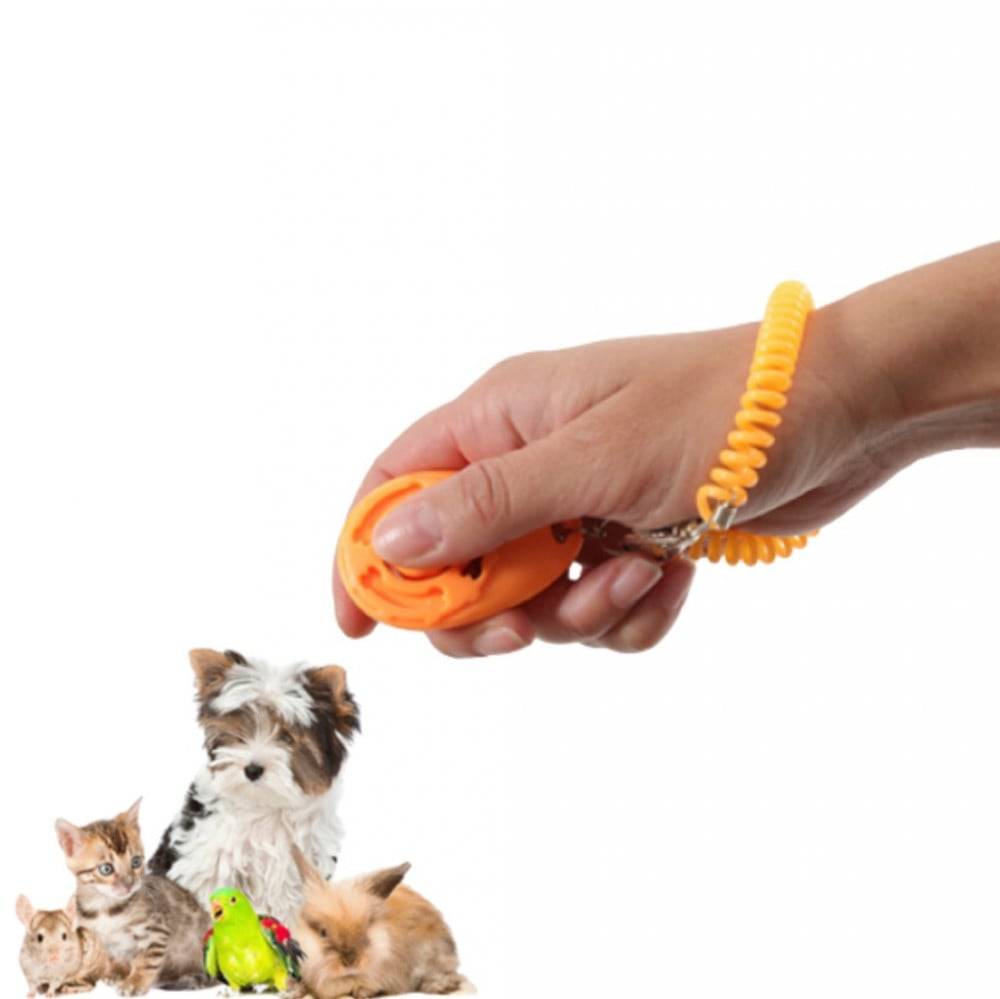 Zolux Training Clicker - For Birds,Cats and Small Animals