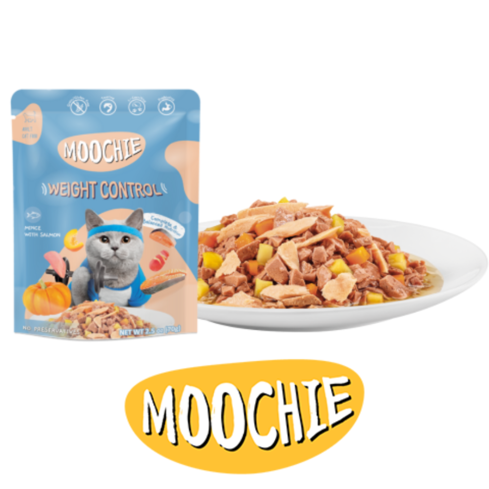 Moochie Mince With Salmon Whight Control