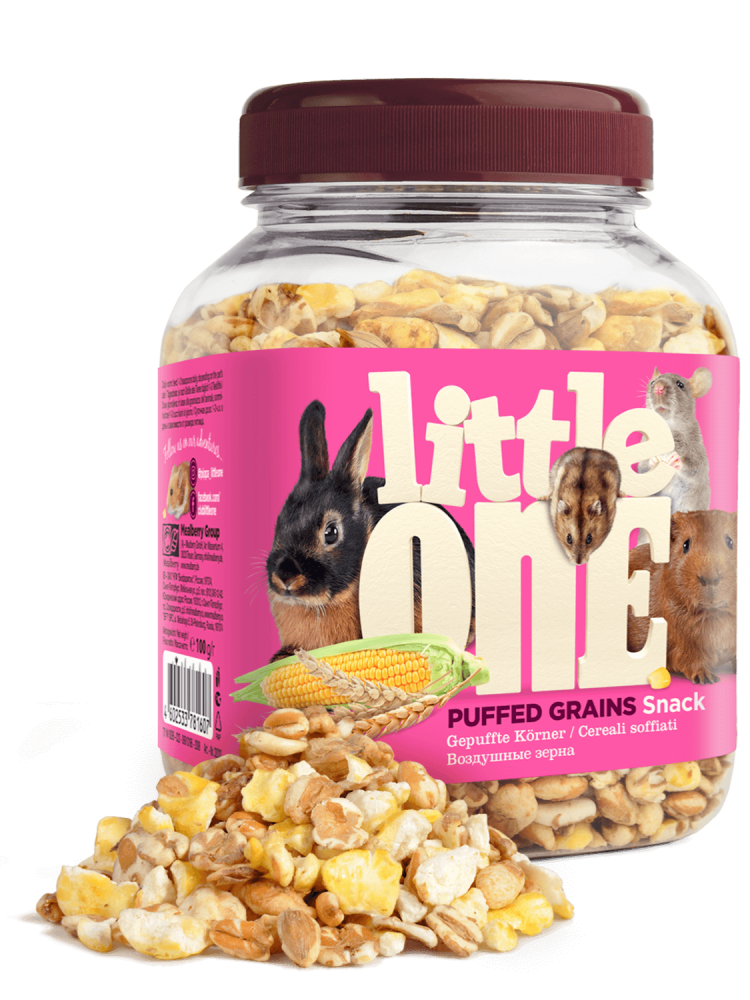 ليتل ون سناك الحبوب المنتفخة 100 جرام Little One Puffed grains Snack 100g