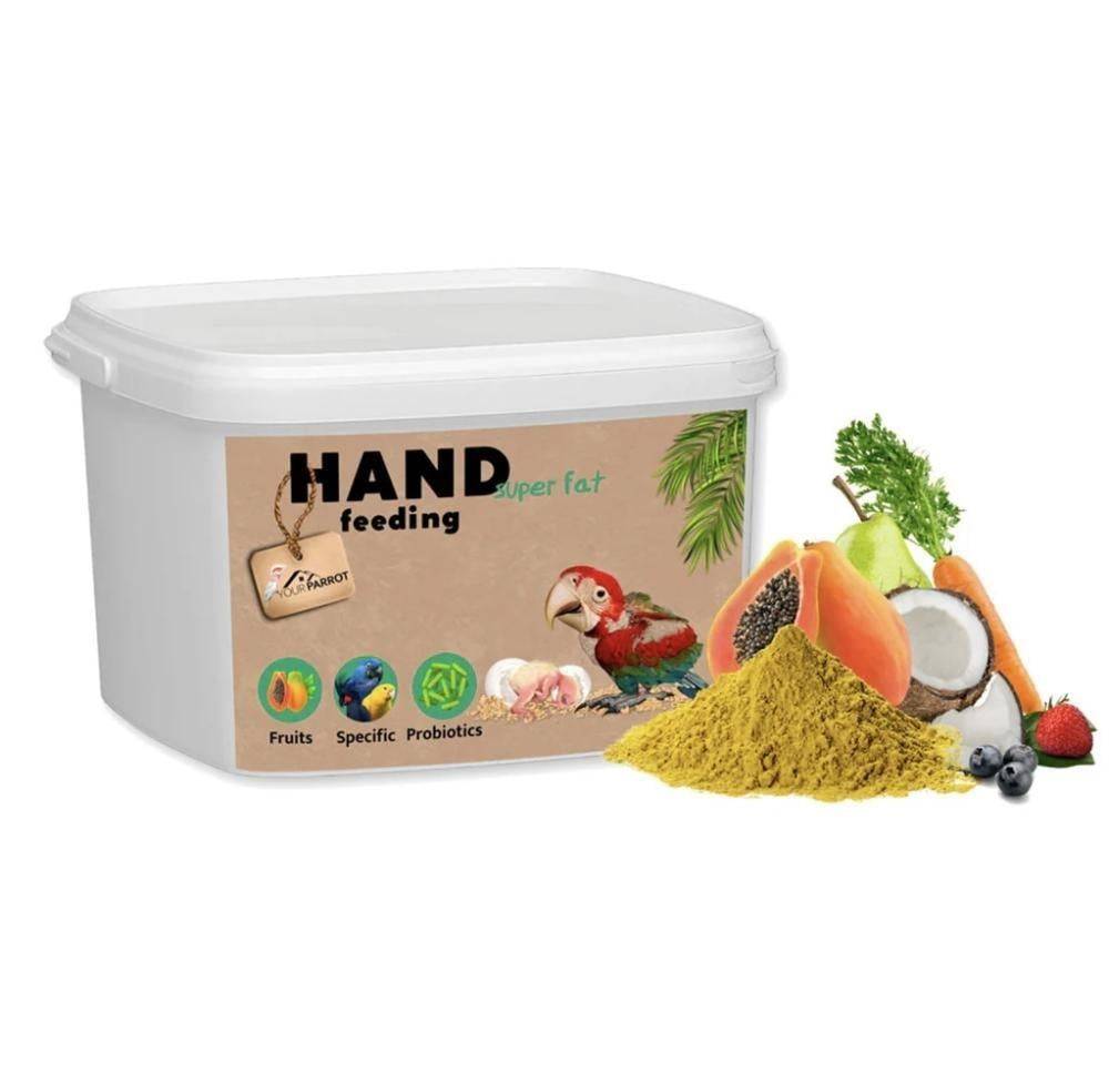 Your Parrot Hand Feeding Super Fat