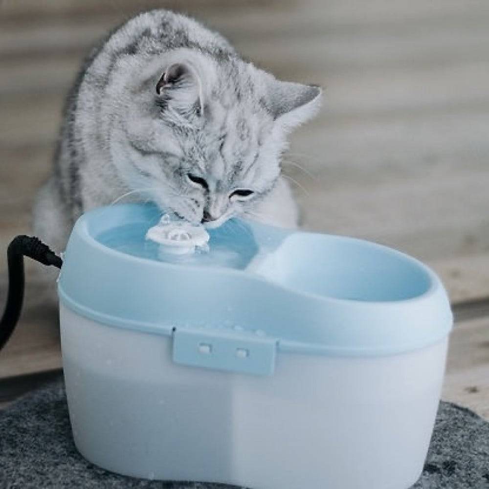 نافورة CatH2O - مشربية كهربائية مع فلتر CatH2O Fountain - Blue
