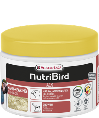 Versel Laga Nurtibird A