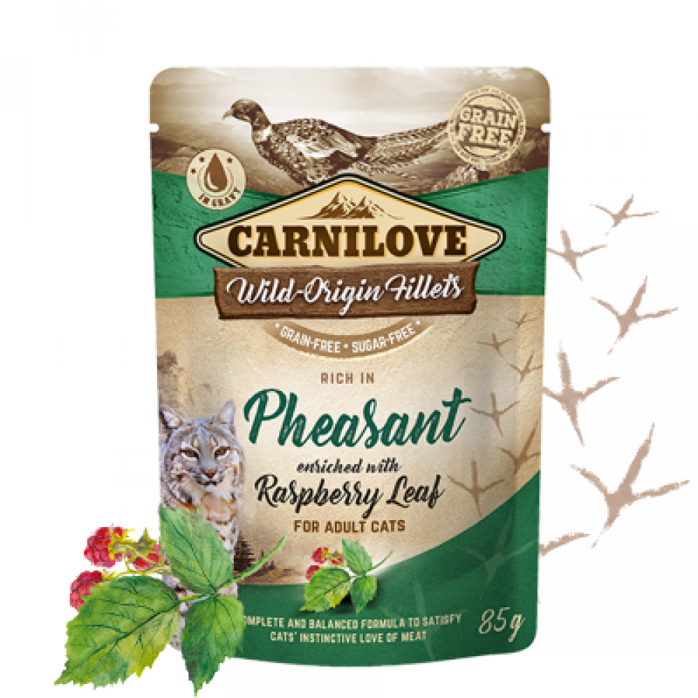 كارنيلوف اظرف رطبة لحم التدرج مع أوراق التوت Carnilove Rich in Pheasant enriched with Raspberry Leaves