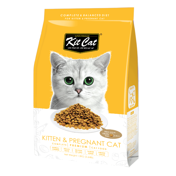Kit Cat Kitten Pregnant Healthy Growth Dry Cat Food