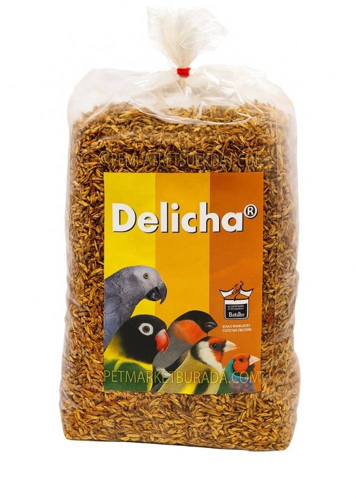 بذور الدليشتاء غذاء تكميلي طبيعي لطيور الزينة فلوراليا Floralia Delicha Natural Supplement for Pet Birds