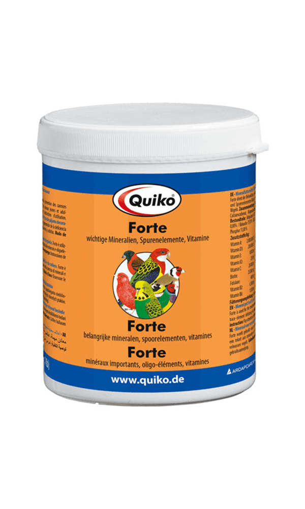 فورت من كويكو - Quiko Forte