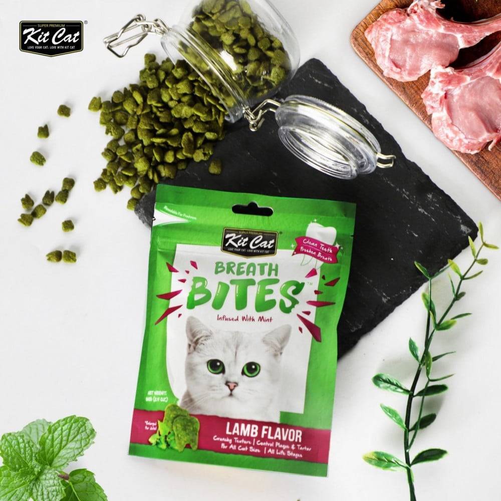 كت كات بريث بايتس نكهة النعناع مكمل غذائي بلحم الضأن 60 جرام Kit Cat Breath Bites Mint Lamb Flavor 60 g