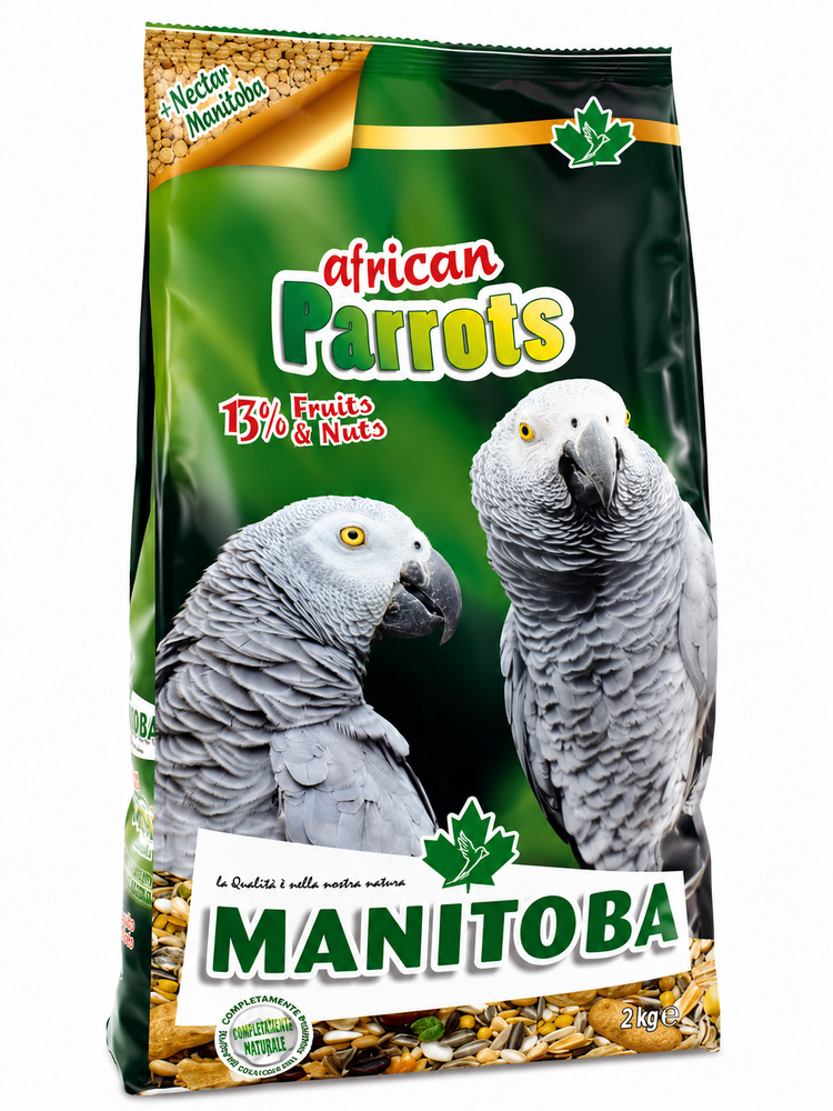 مانيتوبا أكل الببغاء الكاسكو خليط مشكل من الحبوب والفواكه 2كغ Manitoba African Parrots Mixture Food 2kg