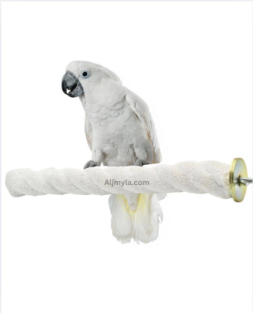 White Parrot Perch and Cooler - Parrot Cage Accessories Petslife Sandy Perch