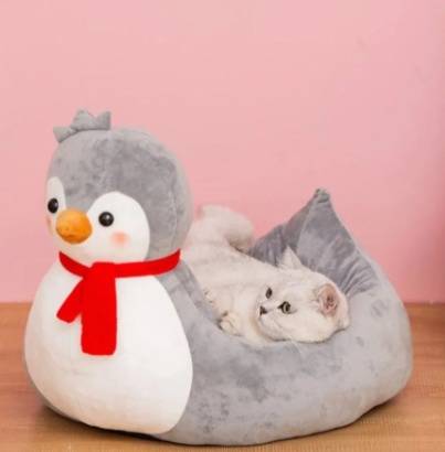 Modern bed, nice and attractive design, Mattress Bed Season - cat mattress, size L-M