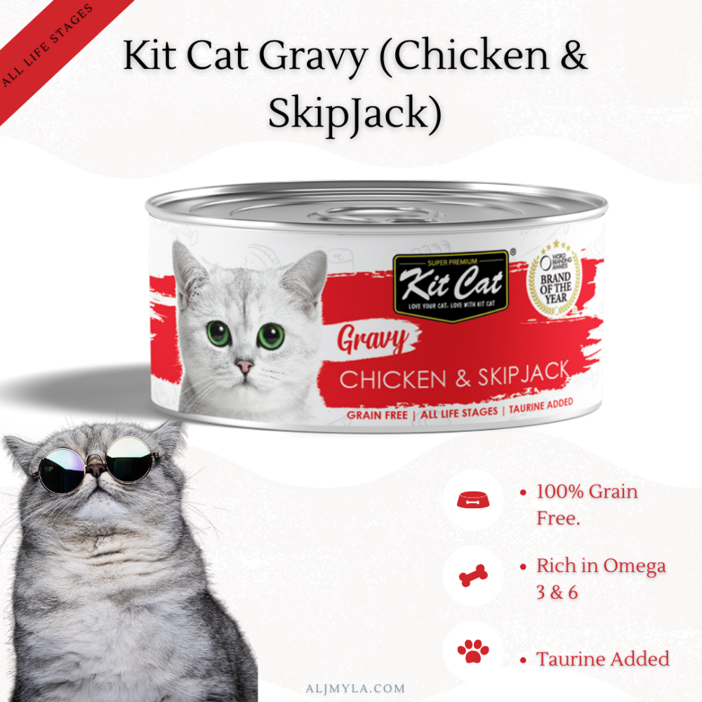 معلبات كت كات جرافي الدجاج مع سمك التونة الوثابة بالمرق Kit Cat Gravy (Chicken & SkipJack ) Canned food
