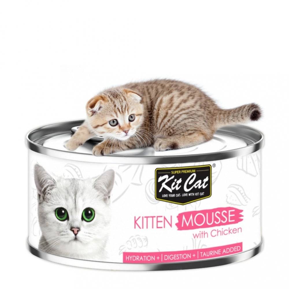 كت كات مهروس للقطط الصغيرة مع الدجاج 80غ Kit Cat KITTEN Mousse with Chicken 80g