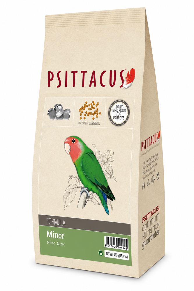 MINOR PSITTACUS سيتاكوس غذاء الروز والطيور المتوسطة