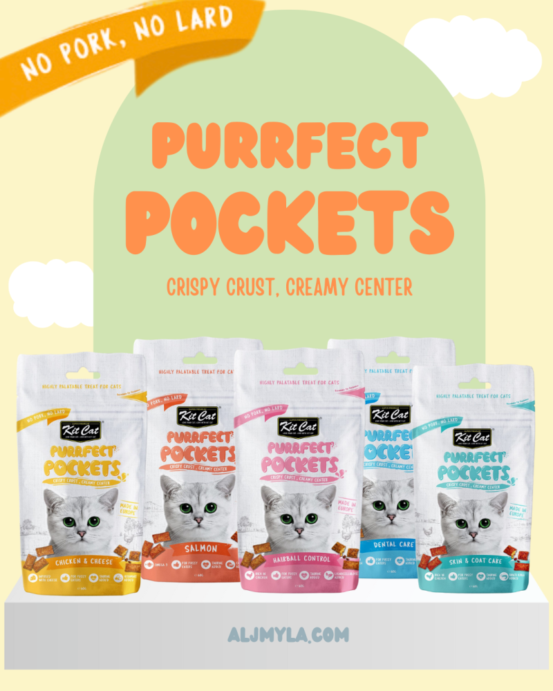 كت كات بيرفكت عبوة مكافآت قطط (للقطط البالغة) - نكهات متنوعة Kit Cat Purrfect Pockets for Adults Cat