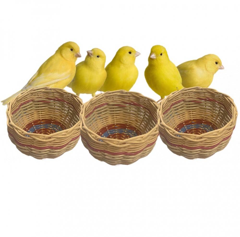 Zebra and canary nest, ceramic bird basket, number 2 - random color