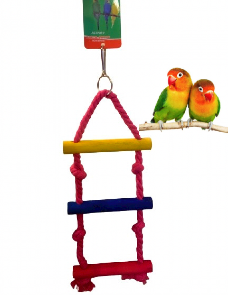 Colorful wooden toy for bird cages, perch for parrots and decorative birds, bamboo swing with pendant