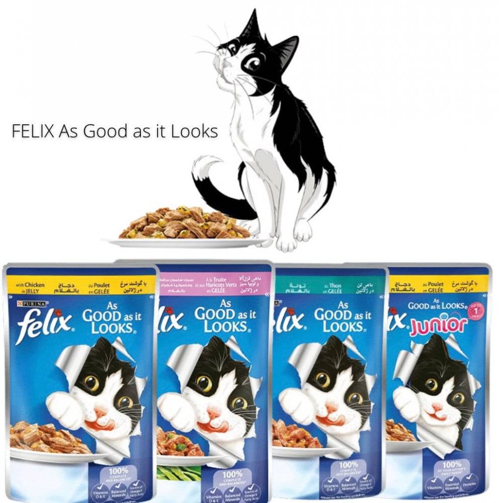 PURINA Felix In Jelly 12 Pouch x 85g اظرف بيورينا فيليكس في الجيلي 12 ظرف xجرام 85