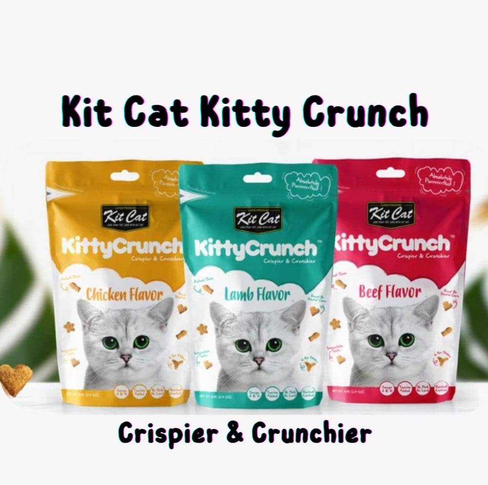 مكافآت كت كات كيتي كرنش 3 عبوات توفيرية Kit Cat Kitty Crunch 3 Packs