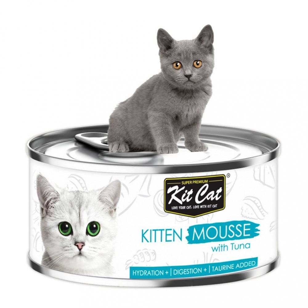 كت كات مهروس للقطط الصغيرة مع التونا 80غ / 80g Kit Cat KITTEN Mousse with Tuna