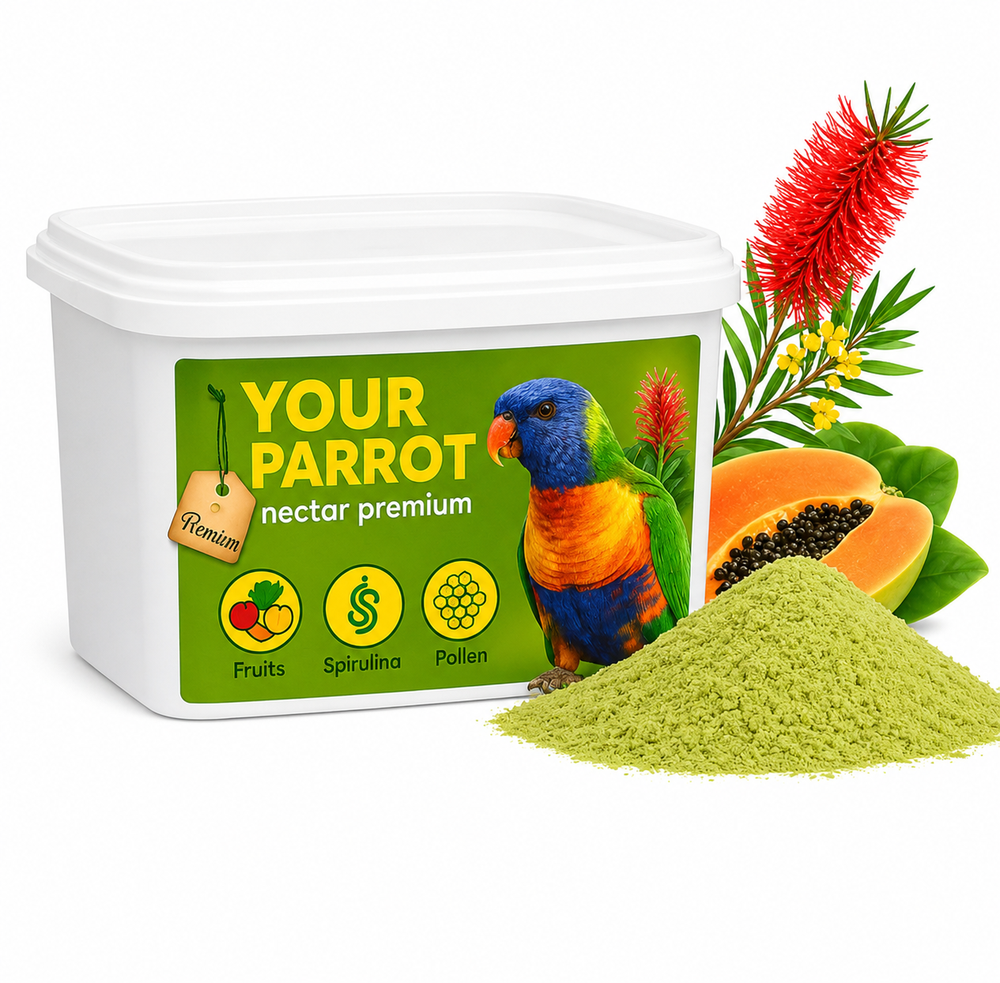 يور باروت لوري نكتار بريميوم Your Parrot Lori Nectar Premium