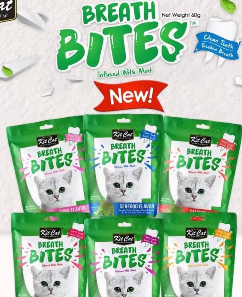 كت كات بريث بايتس مكافآت قطط انتعاش النعناع 60 جرامx4نكهات متنوعة Kit Cat Breath Bites Mint Flavour 60gx5Pcs