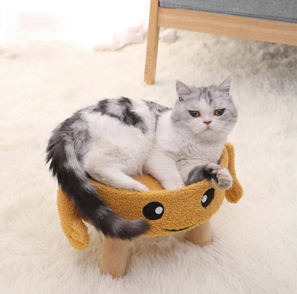 سرير للقطط وخداشة على شكل كرسي مرح - Cat Beds & Tree