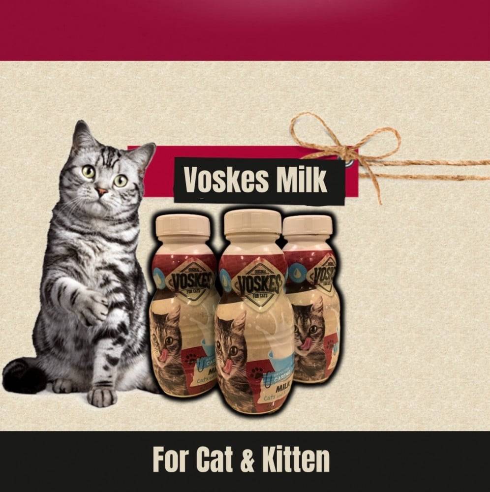حليب فوسكيس للقطط البالغة والصغيرة غني بالفيتامينات 250 مل Voskes Milk Rich In Vitamins For Cats & Kittens 250 ML