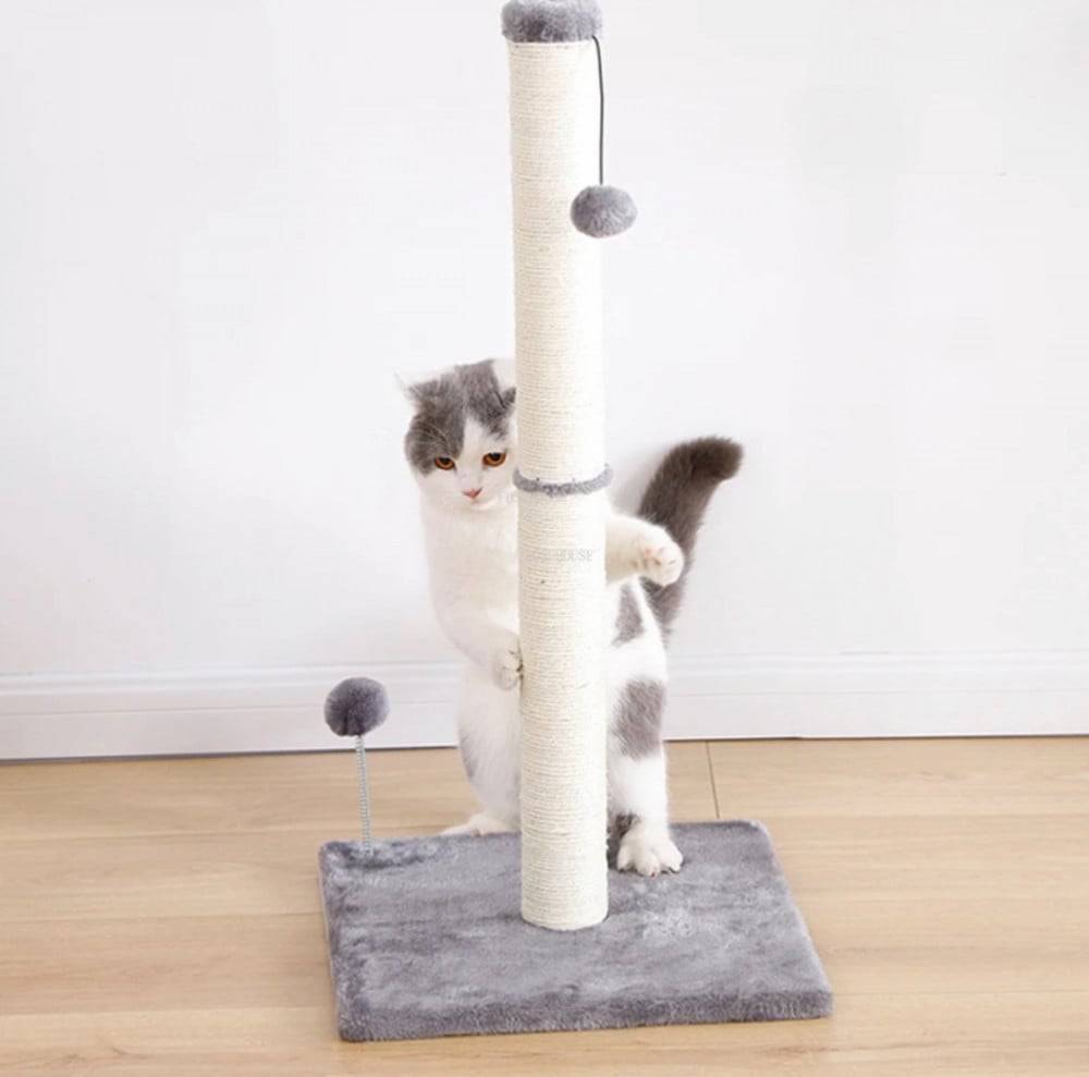 خداشات رمادية مودرن مع سنارة كرة الريش - PAWS Road Cat Scratcher