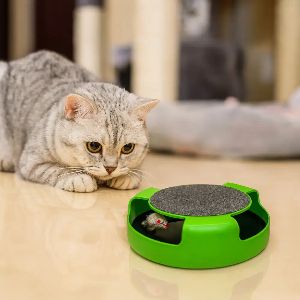Interactive cat toy with rotating mouse and scratching surface – to develop hunting skills and have fun
