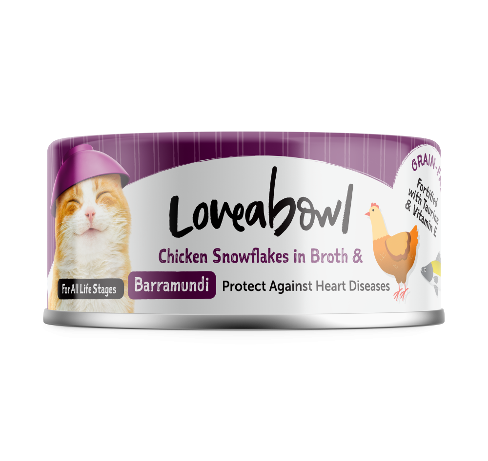 لاف اباول شرايح الدجاج في المرق مع سمك البرمون Loveabowl Chicken Snowflakes in Broth BARRAMUNDI