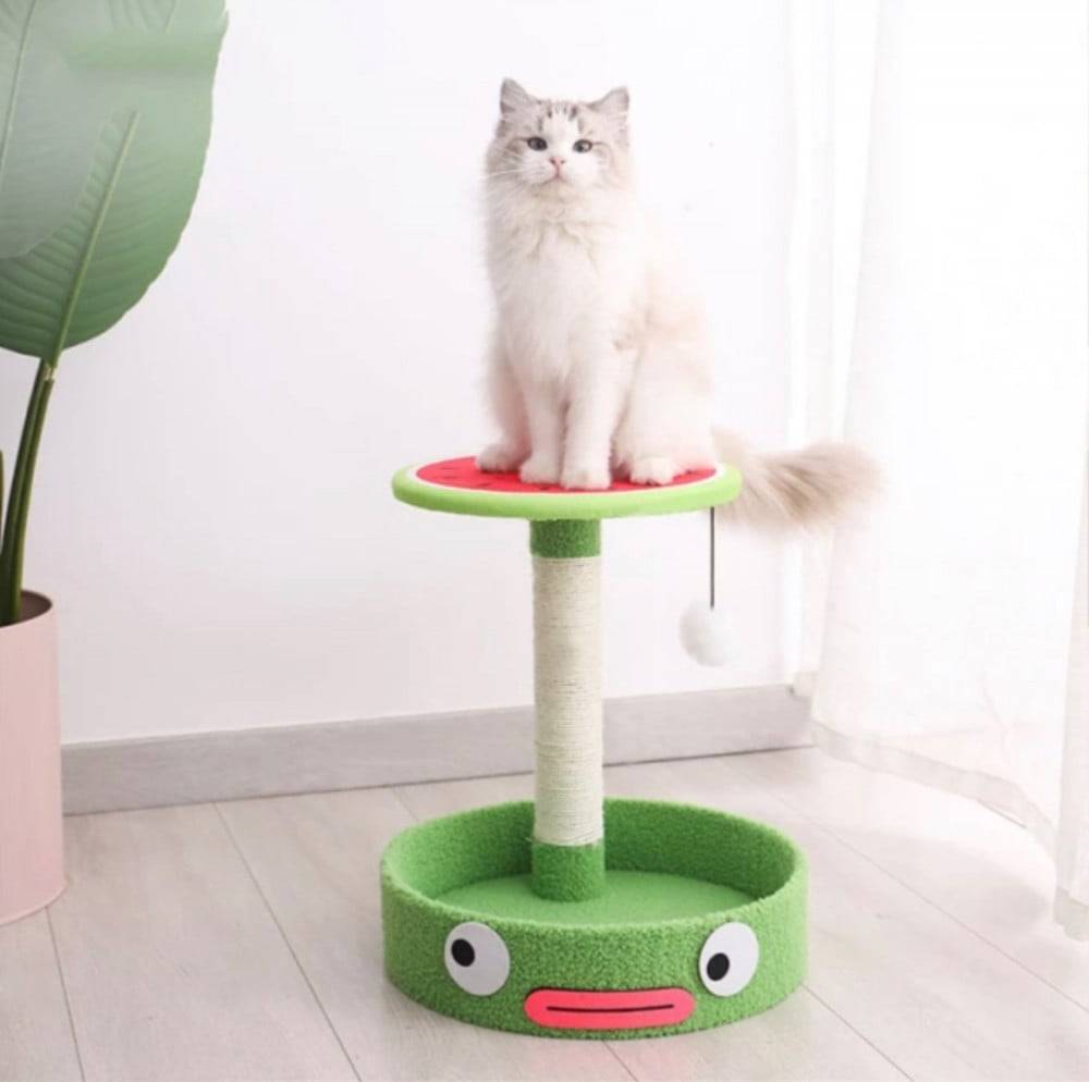 Watermelon style cat scratcher with a comfortable and attractive design - medium size