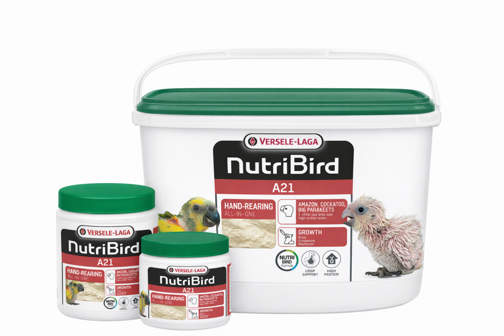 Versel Laga Nurtibird A