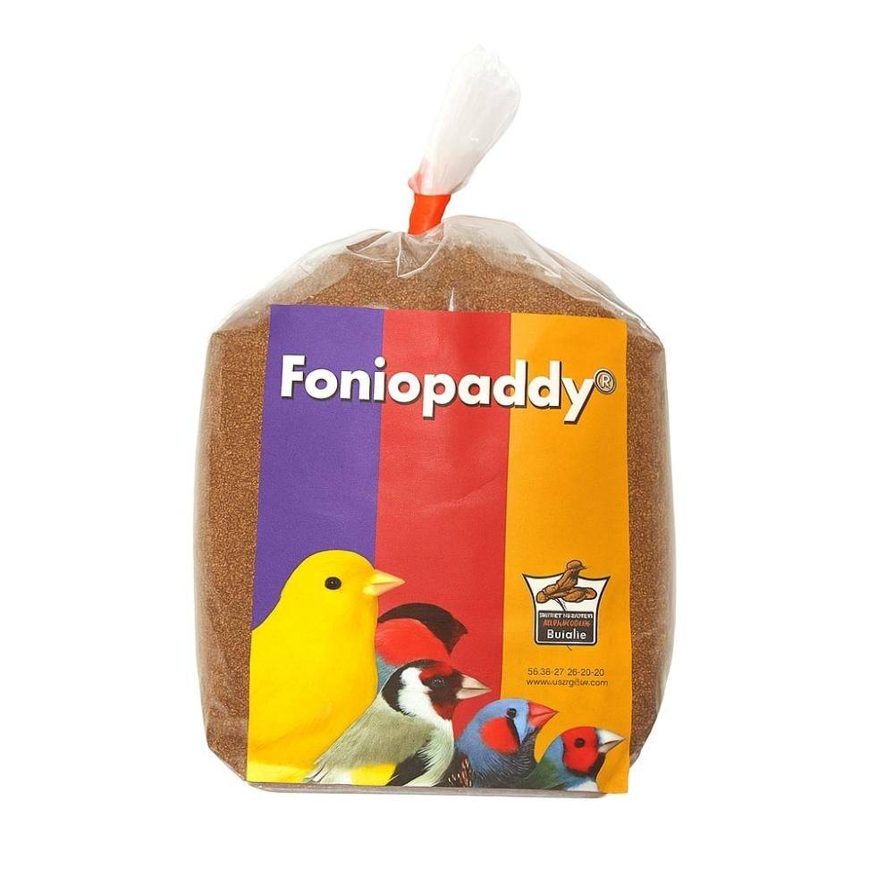 Floralia Fonio Paddy – فلوراليا فونيو بادّي غذاء طبيعي لعلاج الكوكسيديا للطيور