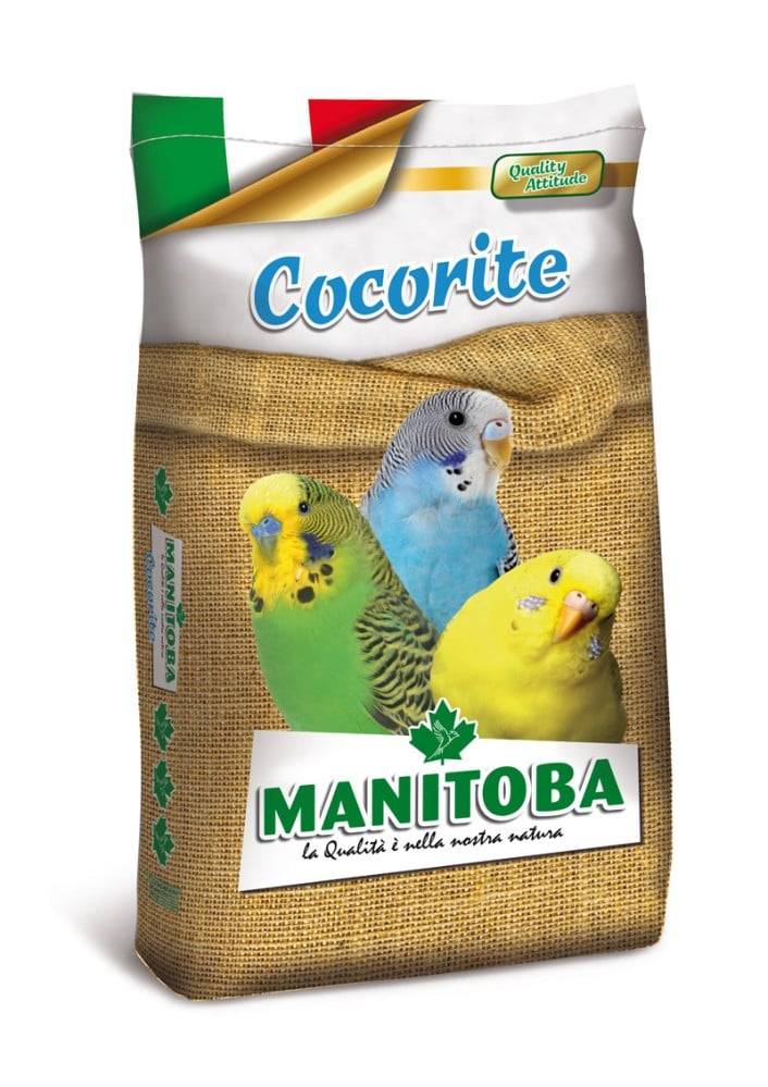 Manitoba Cocorite