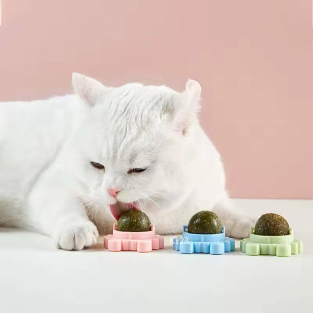 كرة الكاتنيب من اوراق النعناع البري لتنظيف الأسنان وتهدئة القطط العاب قطط تفاعلية Cat Mint Toy Ball Crab Catnip